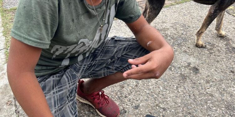 ‘Ya no quiero estar en la calle, nos insultan’: Ricardo, el niño limpiaparabrisas