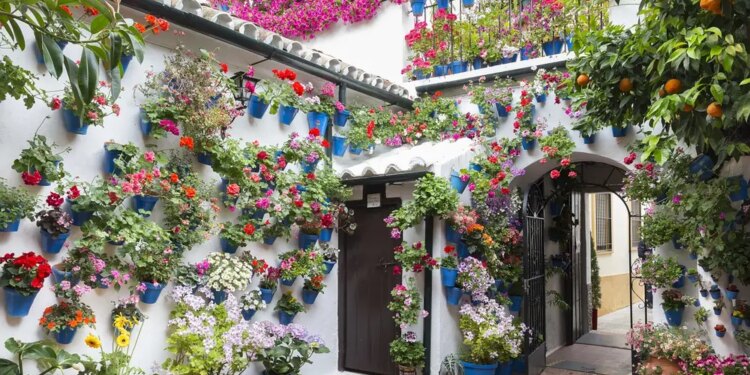Patios de Córdoba