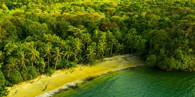 Actualmente hay 25 países abiertos sin restricciones para los viajes desde Colombia