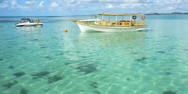 Agentes de viajes brasileños se ilusionan con el arranque de 2022