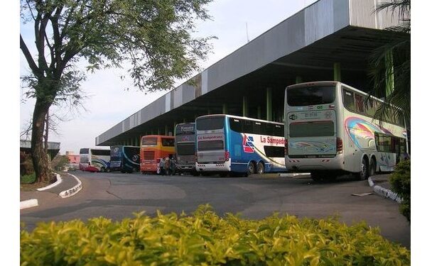 Buses de mediana y larga distancia suspenden viajes