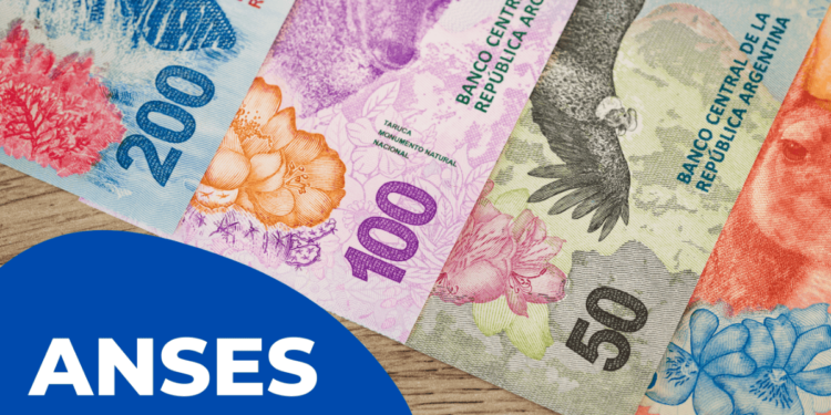Créditos Anses para viajes, refacciones y electrodomésticos: pedilos desde tu computadora