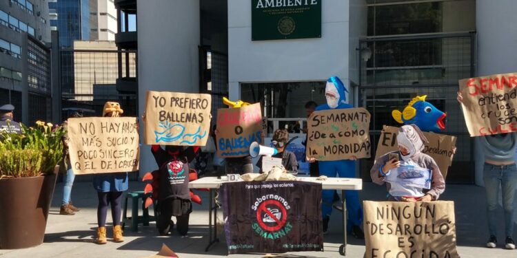 Denuncian que Semarnat no acata evaluaciones científicas y otorga premisos para muelles