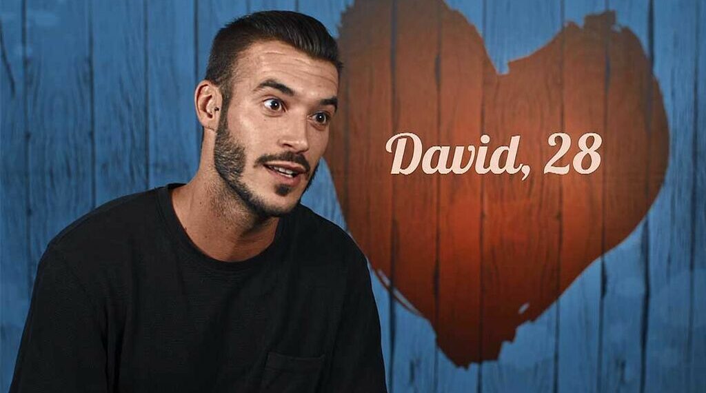 david