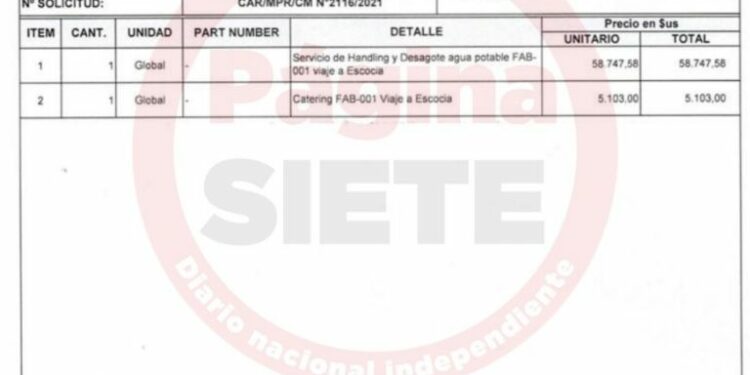 En 7 viajes internacionales de Arce, catering y handling costaron casi $us 100 mil