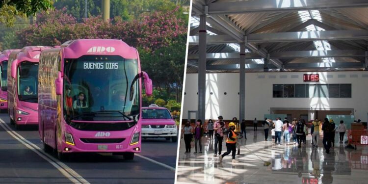 Estas son las líneas de autobuses que ya anunciaron rutas al AIFA – El Financiero