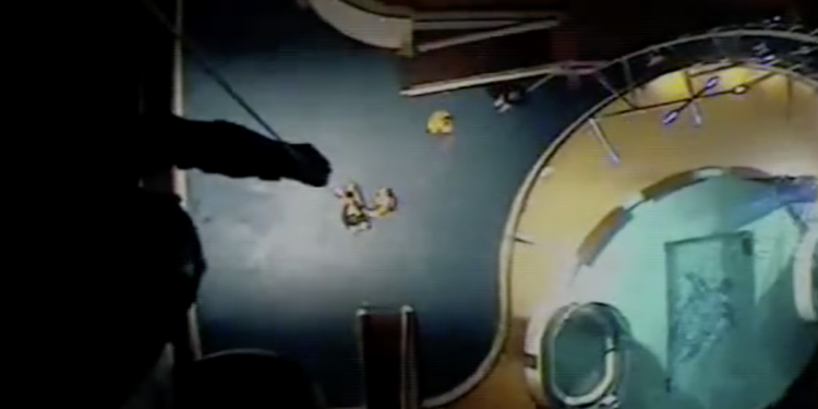 La Guardia Costera evacuó en helicóptero a una niña de 7 años de un crucero | Otros