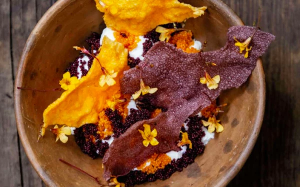 cocinera-sabia-pia-leon