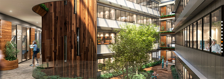 Luximia invierte 200 mdp en construcción de la más vanguardista torre médica en Puerto Cancún