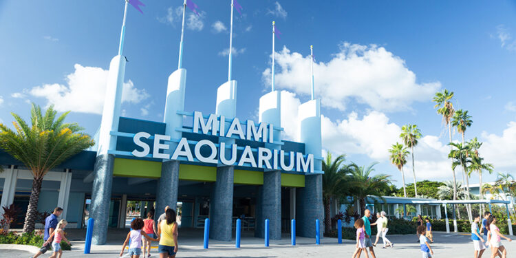 The Dolphin Company da la bienvenida a Miami Seaquarium a su familia de parques