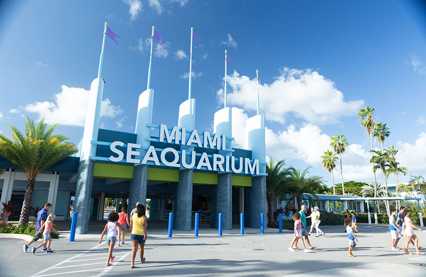 The Dolphin Company da la bienvenida a Miami Seaquarium a su familia de parques