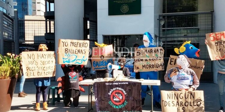 Oposición al turismo de cruceros en La Paz llega hasta la capital del país