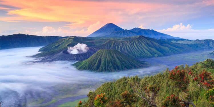 Participa en una aventura salvaje por Indonesia con Viajar.