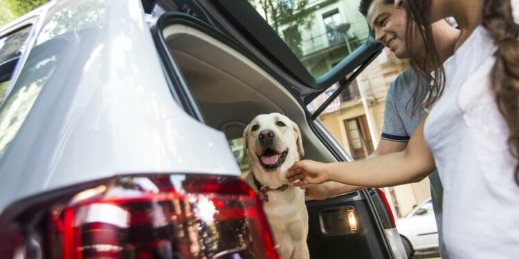 Rosario una ciudad Pet Friendly para turistas y sus mascotas