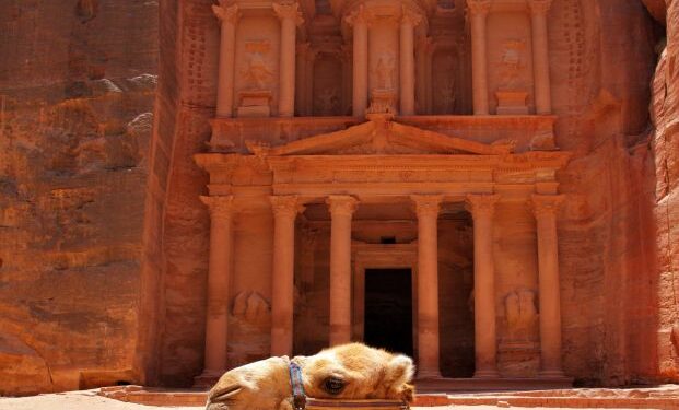 Quick 4948500 xxl Camel near Treasury temple at Petra