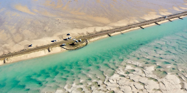Semanas veganas, deportes de invierno y carreras con marea baja