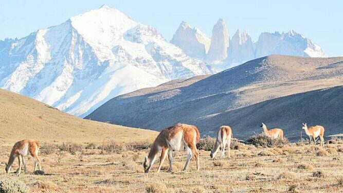 Servicios turísticos a Torres del Paine tendrán hasta un 70% de descuentos