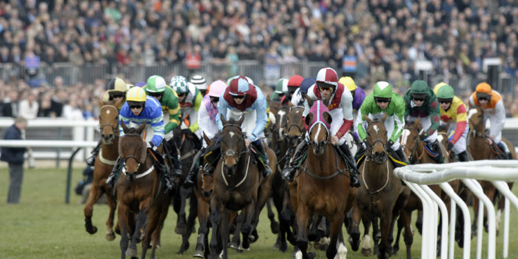 Vence la estampida al Cheltenham Festival 2023