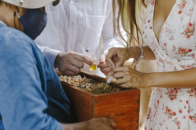 Chablé Yucatán te invita a disfrutar de unas estupendas vacaciones y convertirse en un “Bee Keeper”