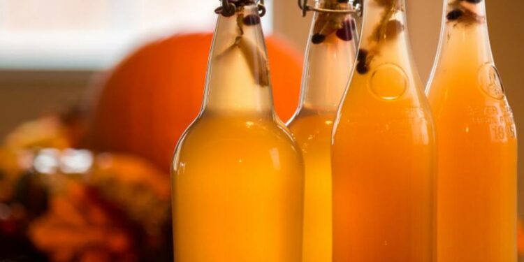 6 bebidas fermentadas que debes incluir en tu vida