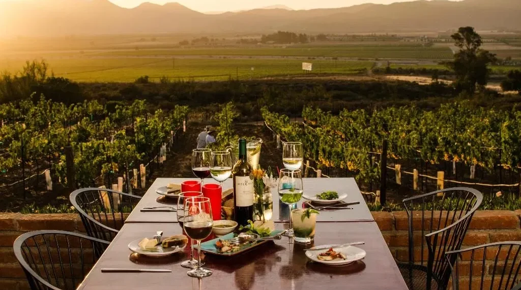 Agrupaciones del Vino y la Comunidad Académica apoyan el ordenamiento del Valle de Guadalupe