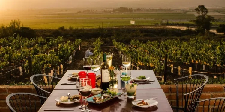 Agrupaciones del Vino y la Comunidad Académica apoyan el ordenamiento del Valle de Guadalupe