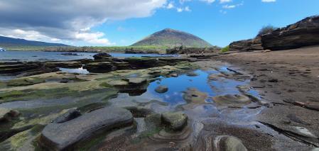 El archipiélago de las islas Galápagos es el que contiene el mayor número de animales y plantas endémicas del planeta