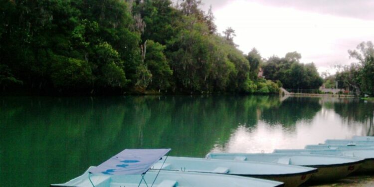 5 destinos donde ir de pesca cerca de la CDMX
