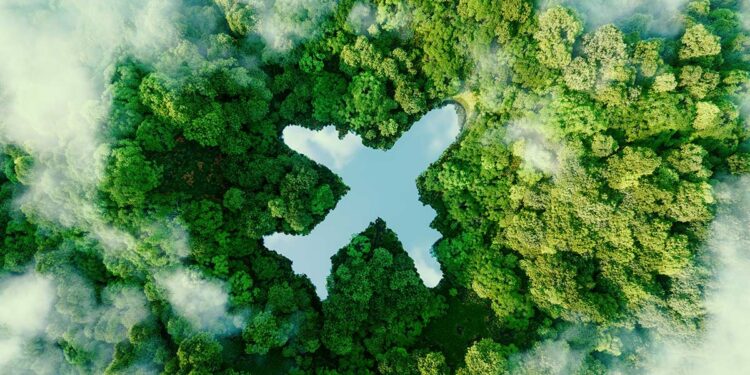 Clientes de Avianca podrán compensar la huella de carbono de sus viajes