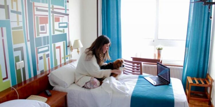 Cómo viajar por Galicia sin dejar a tu mascota en casa