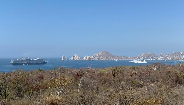 Cruceros