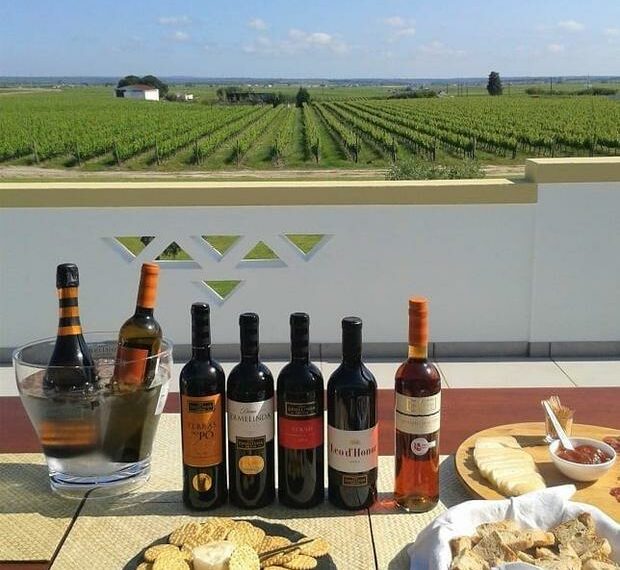 Si tu plan es viajar este año para disfrutar una experiencia única rodeada de ríos, vegetación, gente amable y vinos de alta calidad, Setúbal es el destino ideal.