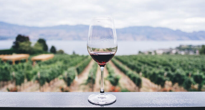 Copa de vino