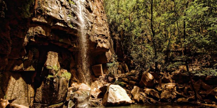 Escápate a estos pueblos mágicos con bosque – El Financiero