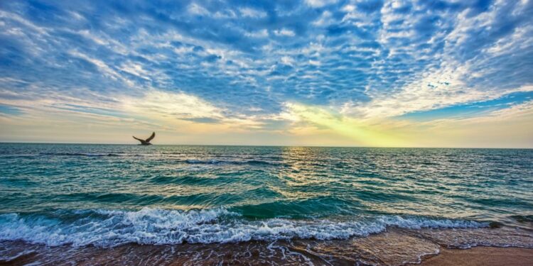 Estas son las mejores playas de Cartagena para disfrutar tus vacaciones