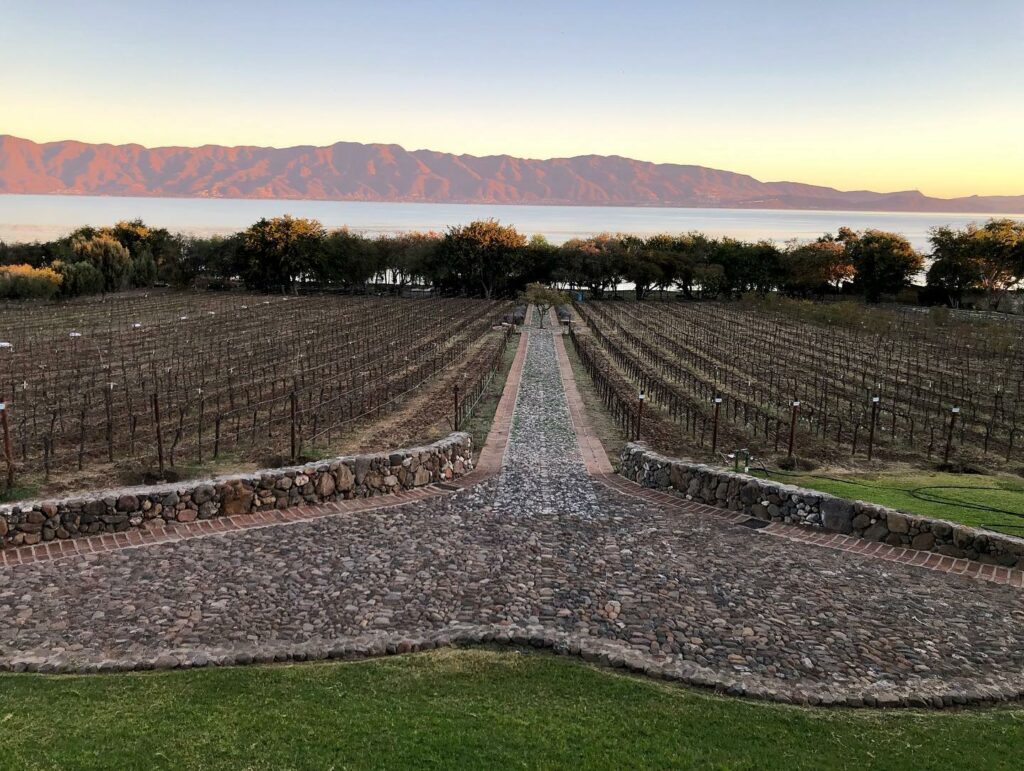 Estremecía, el viñedo boutique de Chapala para c}visitar en semana ...