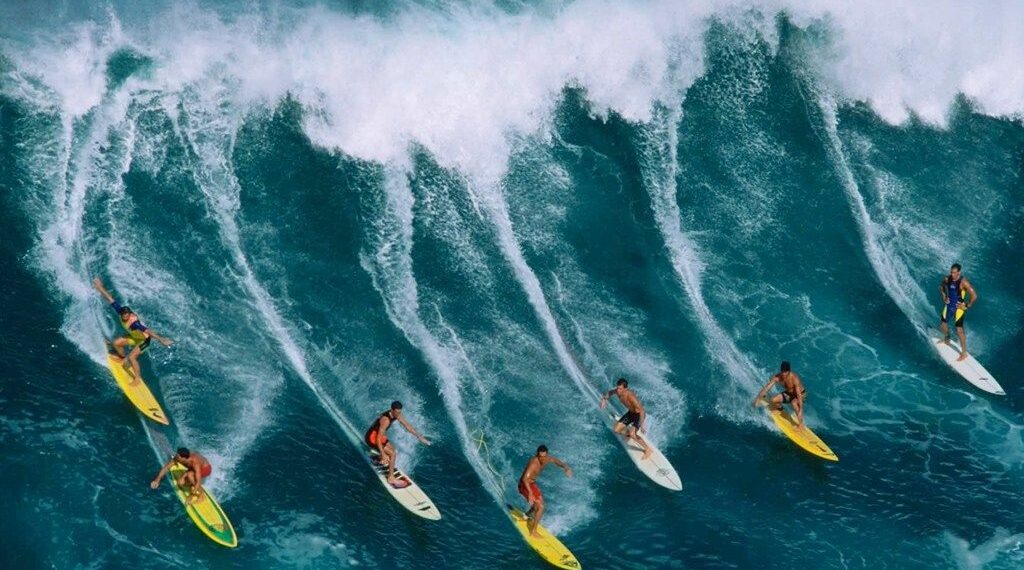 Vive la emoción y la adrenalina en el mar en Acapulco