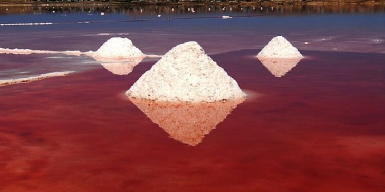  Lago Rosa de Bakú: El lago salado rojo de Masazir