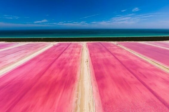 coloradas_i3_0.jpg