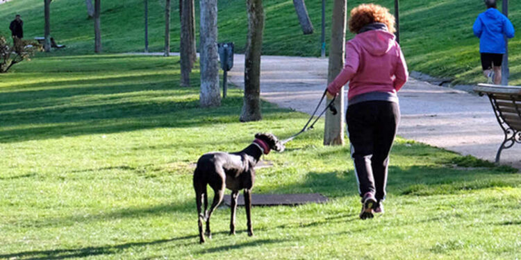 madrid-ayuntamiento-madrid