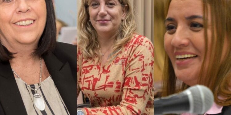 Legisladoras fueguinas irán a Miami para ser parte en un evento sobre turismo de cruceros