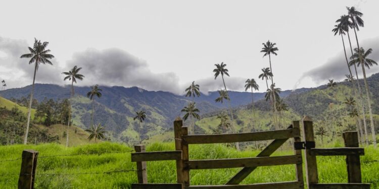 Noticias Ibagué: oferta de servicios turísticos lista para recibir a propio