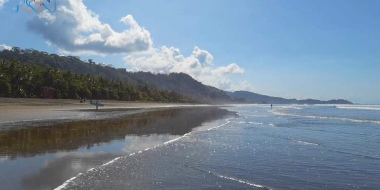 Playas del Pacífico: recorra con +QN los mejores destinos de Osa