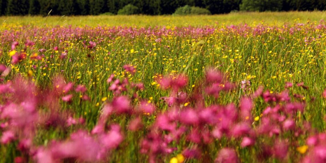Razones para viajar a Valonia esta Semana Santa