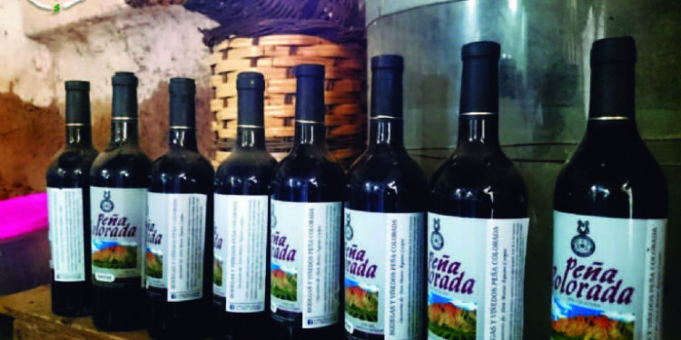 Rutas del vino y la miel, viajes por un día para Semana Santa