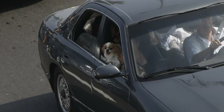 Semana Santa 2022: cientos de personas salen de Lima con destino al sur para disfrutar del feriado largo y huir del ruido de la ciudad | FOTOS | FOTOS | Pascua | Jueves Santo | Viernes Santo | Feriados | RMMN | PERU