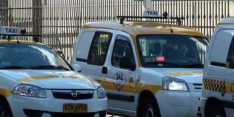Taxis realizan más de 150 viajes diarios de pasajeros con mascotas