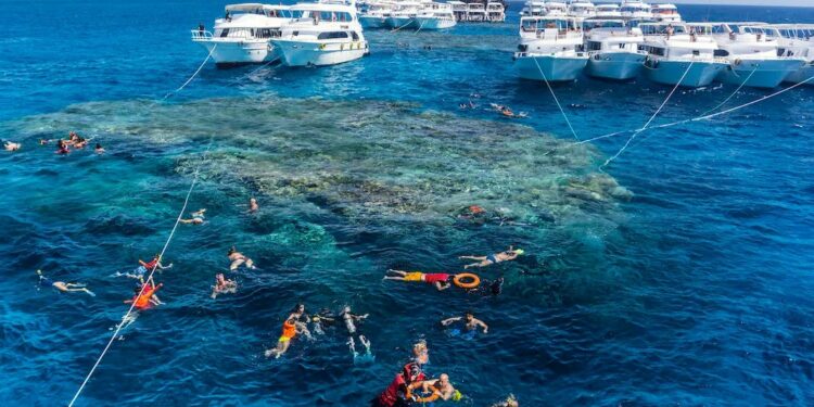 Una empresa turística rusa anuncia la reanudación de los vuelos a los centros turísticos egipcios del Mar Rojo