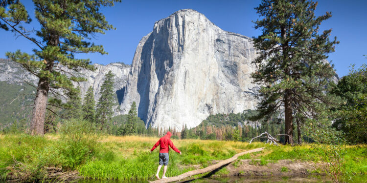 ¿Cómo planear tus vacaciones en los Parques Nacionales de California?