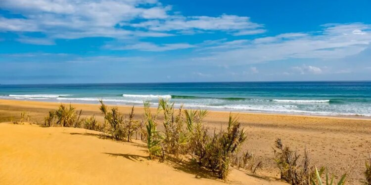 Porto Santo